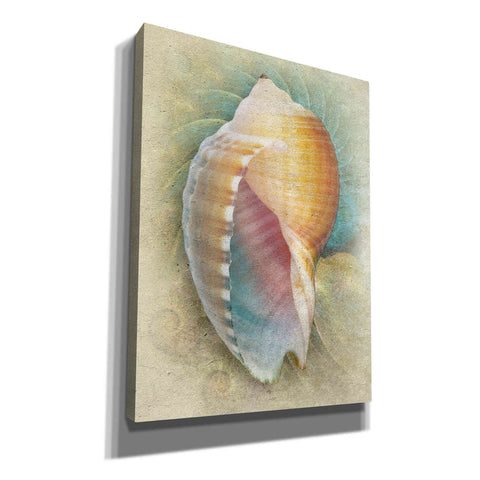 Image of 'Aquatica III' by Steve Hunziker, Canvas Wall Art