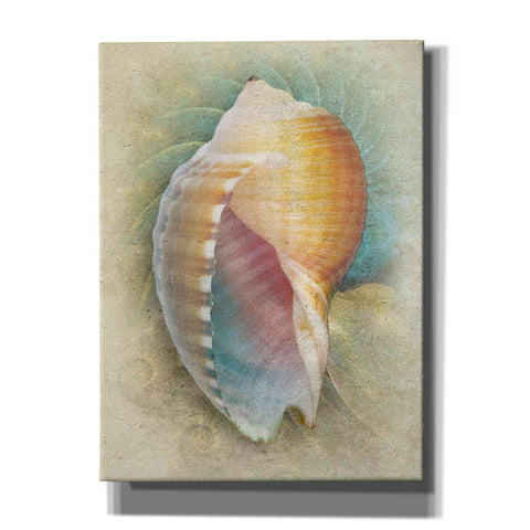 Image of 'Aquatica III' by Steve Hunziker, Canvas Wall Art