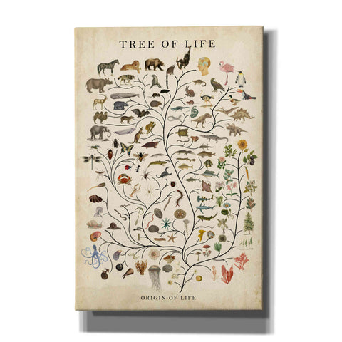 Image of 'Tree of Life' by Studio W, Canvas Wall Art