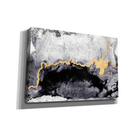 Image of 'Gilded Onyx' by Anna Hambly, Canvas Wall Art