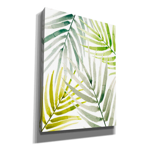 Image of 'Shady Palm I' by Annie Warren, Canvas Wall Art