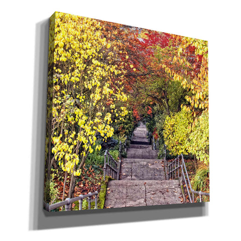 Image of 'Autumn Tunnel' by Colby Chester, Canvas Wall Art