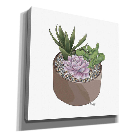 Image of 'Succulent Planter I' by Heidi Kuntz, Canvas Wall Art