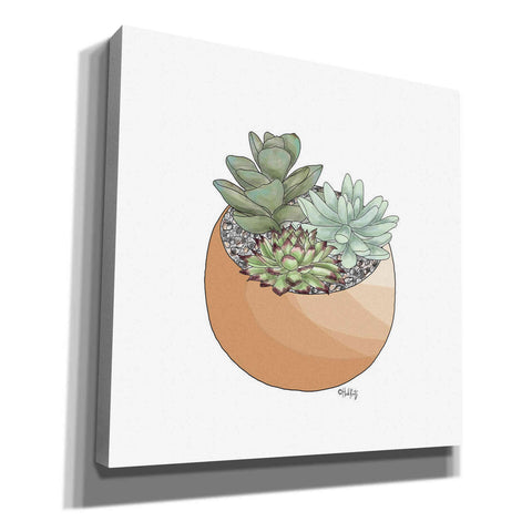 Image of 'Succulent Planter II' by Heidi Kuntz, Canvas Wall Art