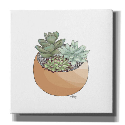 Image of 'Succulent Planter II' by Heidi Kuntz, Canvas Wall Art