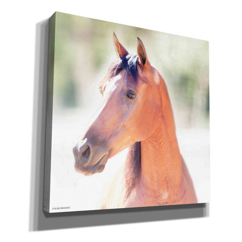 Image of 'The Berry' by Kari Brooks, Canvas Wall Art