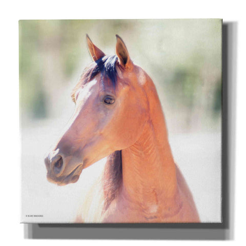 Image of 'The Berry' by Kari Brooks, Canvas Wall Art