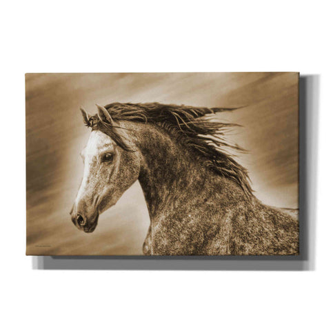 Image of 'Addie Gray' by Kari Brooks, Canvas Wall Art