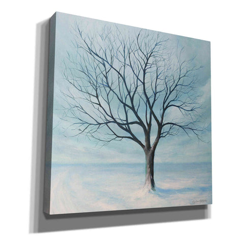 Image of 'Winter Tree' by Tim Gagnon, Canvas Wall Art