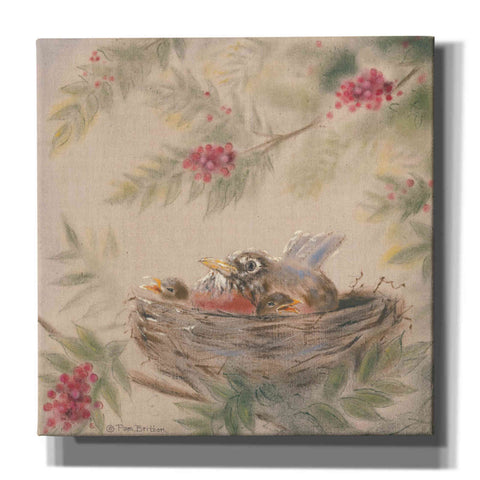 Image of 'Fledglings' by Pam Britton, Canvas Wall Art