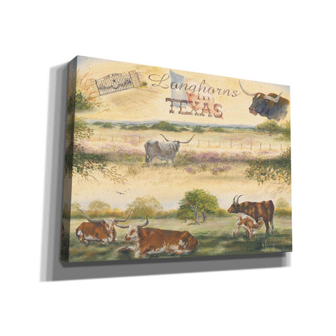 Image of 'Texas Collision V' by Pam Britton, Canvas Wall Art