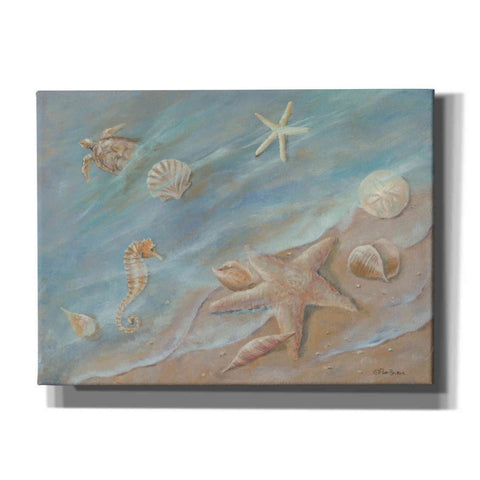 Image of 'Seashore Star I' by Pam Britton, Canvas Wall Art
