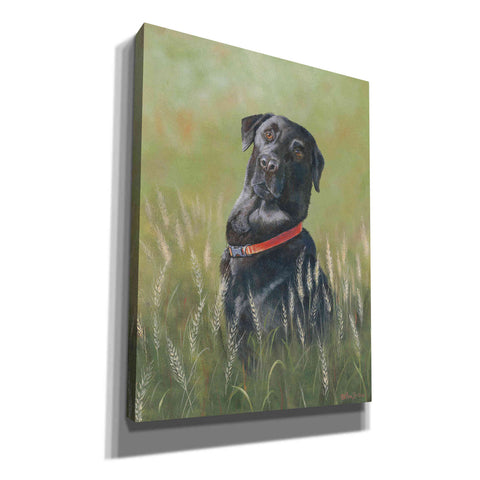 Image of 'Max' by Pam Britton, Canvas Wall Art