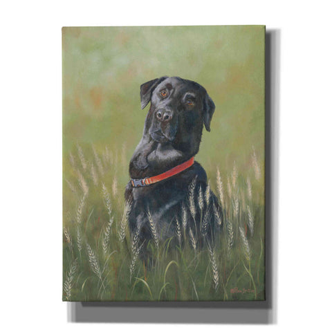 Image of 'Max' by Pam Britton, Canvas Wall Art