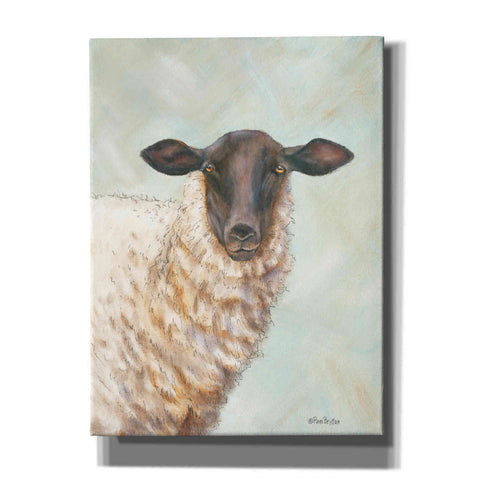 Image of 'Farm Sheep' by Pam Britton, Canvas Wall Art
