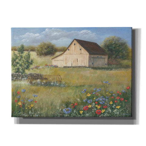 Image of 'Country Wildflowers I' by Pam Britton, Canvas Wall Art