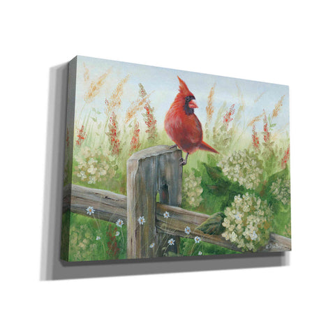 Image of 'Cardinal on Fence' by Pam Britton, Canvas Wall Art