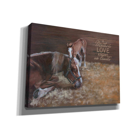 Image of 'A Mother's Love' by Pam Britton, Canvas Wall Art