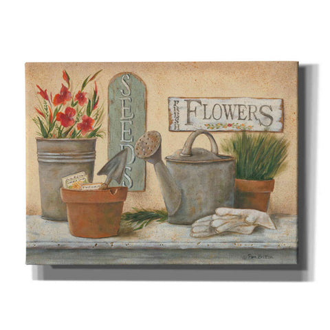 Image of 'Garden Shelf I' by Pam Britton, Canvas Wall Art
