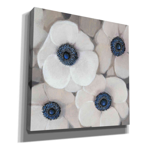 Image of 'White Anemone II' by Tim O'Toole, Canvas Wall Art