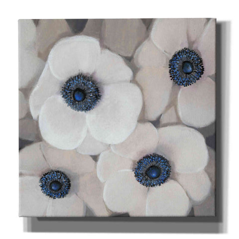 Image of 'White Anemone II' by Tim O'Toole, Canvas Wall Art