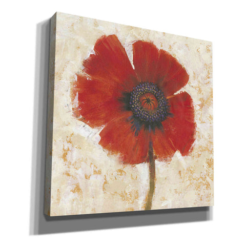 Image of 'Red Poppy Portrait I' by Tim O'Toole, Canvas Wall Art