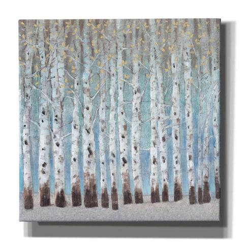 Image of 'Into the Forest II' by Tim O'Toole, Canvas Wall Art