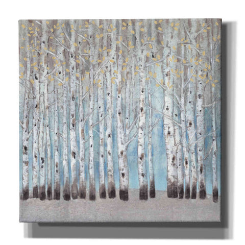 Image of 'Into the Forest I' by Tim O'Toole, Canvas Wall Art