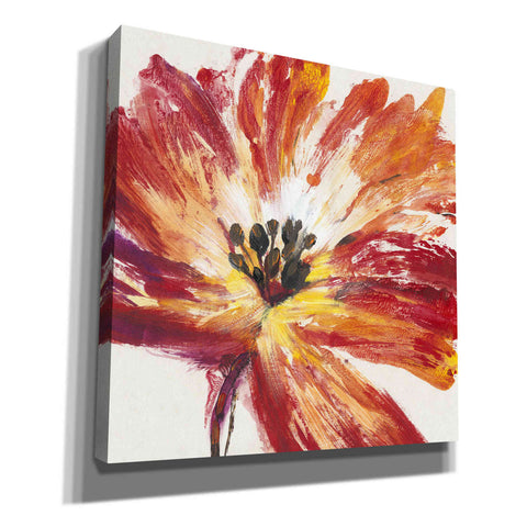 Image of 'Fleur Rouge I' by Tim O'Toole, Canvas Wall Art