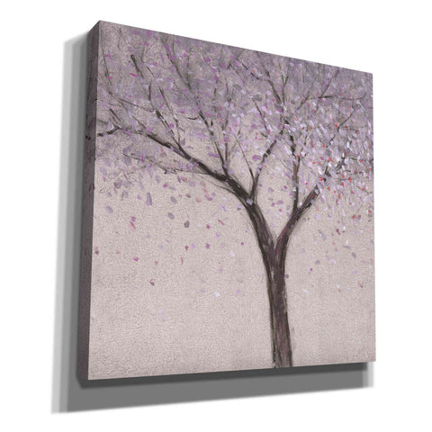 Image of 'Spring Blossom I' by Tim O'Toole, Canvas Wall Art