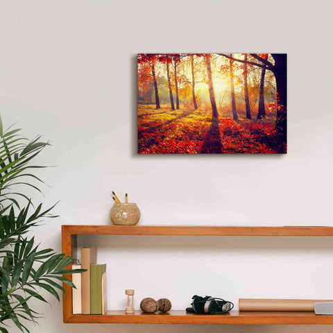 Image of 'Golden Afternoon' Canvas Wall Art,18 x 12