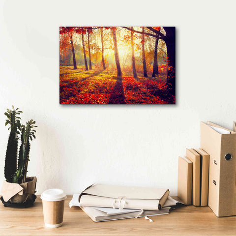 Image of 'Golden Afternoon' Canvas Wall Art,18 x 12