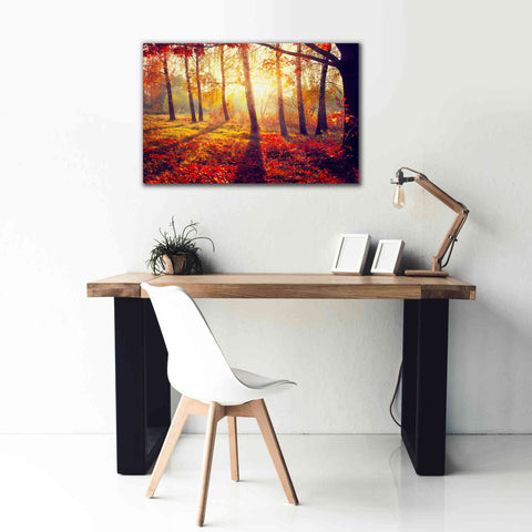 Image of 'Golden Afternoon' Canvas Wall Art,40 x 26