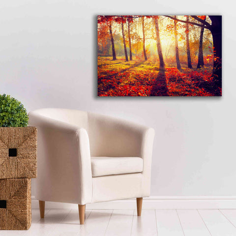 Image of 'Golden Afternoon' Canvas Wall Art,40 x 26