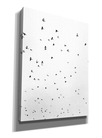 Image of 'Bird Constellation' by Epic Portfolio, Giclee Canvas Wall Art