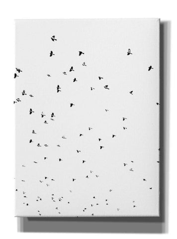 Image of 'Bird Constellation' by Epic Portfolio, Giclee Canvas Wall Art