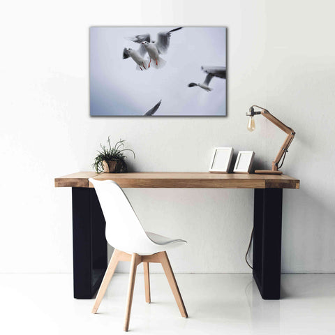 Image of 'Bird Hug' by Epic Portfolio, Giclee Canvas Wall Art,40x26