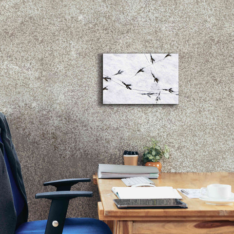 Image of 'Bird's footprints' by Epic Portfolio, Giclee Canvas Wall Art,18x12