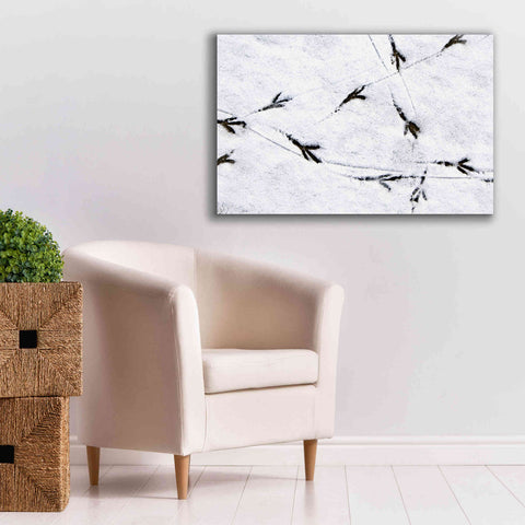 Image of 'Bird's footprints' by Epic Portfolio, Giclee Canvas Wall Art,40x26