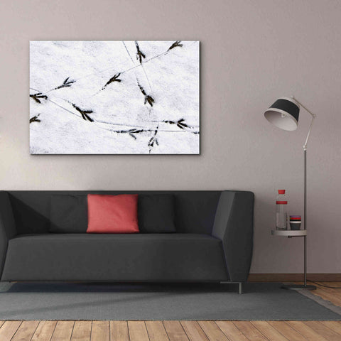 Image of 'Bird's footprints' by Epic Portfolio, Giclee Canvas Wall Art,60x40