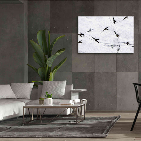 Image of 'Bird's footprints' by Epic Portfolio, Giclee Canvas Wall Art,60x40