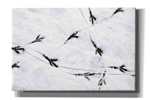 Image of 'Bird's footprints' by Epic Portfolio, Giclee Canvas Wall Art