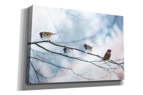 Image of 'Bird Feeders Treehouse' by Epic Portfolio, Giclee Canvas Wall Art
