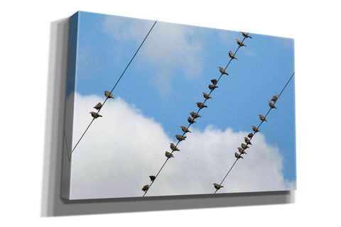 Image of 'Humanwatching' by Epic Portfolio, Giclee Canvas Wall Art