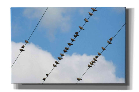 Image of 'Humanwatching' by Epic Portfolio, Giclee Canvas Wall Art