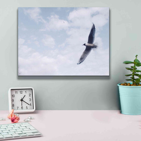 Image of 'Sky Cruising' by Epic Portfolio, Giclee Canvas Wall Art,16x12