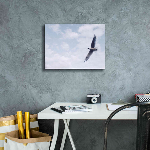 Image of 'Sky Cruising' by Epic Portfolio, Giclee Canvas Wall Art,16x12