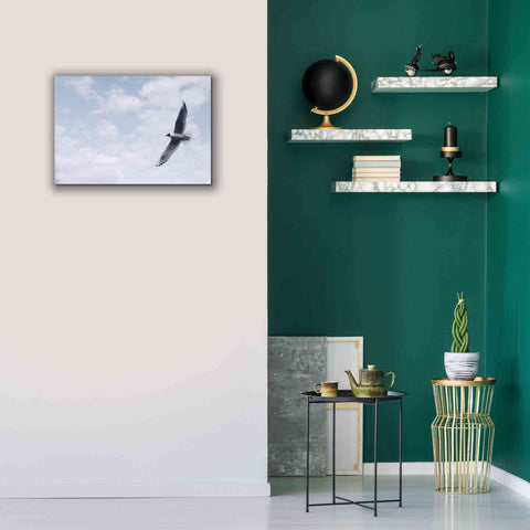 Image of 'Sky Cruising' by Epic Portfolio, Giclee Canvas Wall Art,26x18