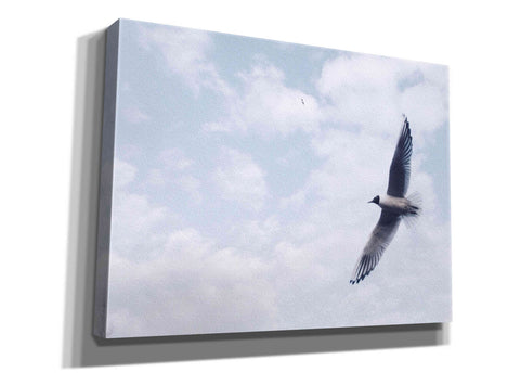 Image of 'Sky Cruising' by Epic Portfolio, Giclee Canvas Wall Art