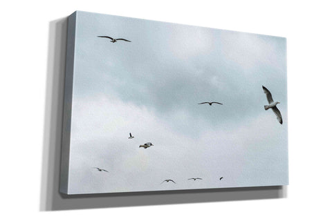 Image of 'Sky Patrol' by Epic Portfolio, Giclee Canvas Wall Art